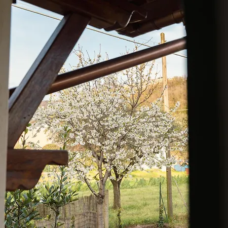Casa Dolce Di Robe - Relax, Mare E Natura