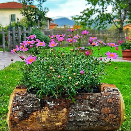 Casa Dolce Di Robe - Relax, Mare E Natura * Luni